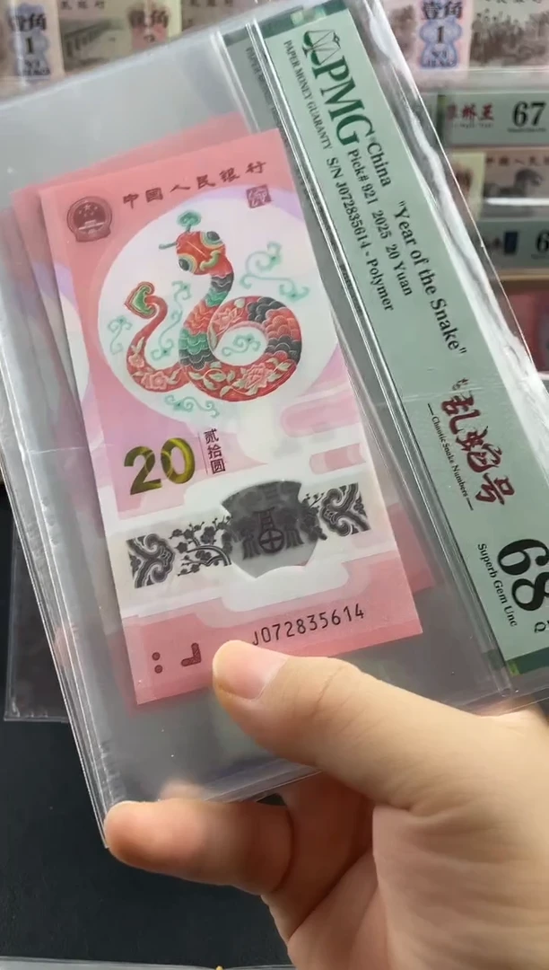 塑料蛇钞单张67分如意乱龙号