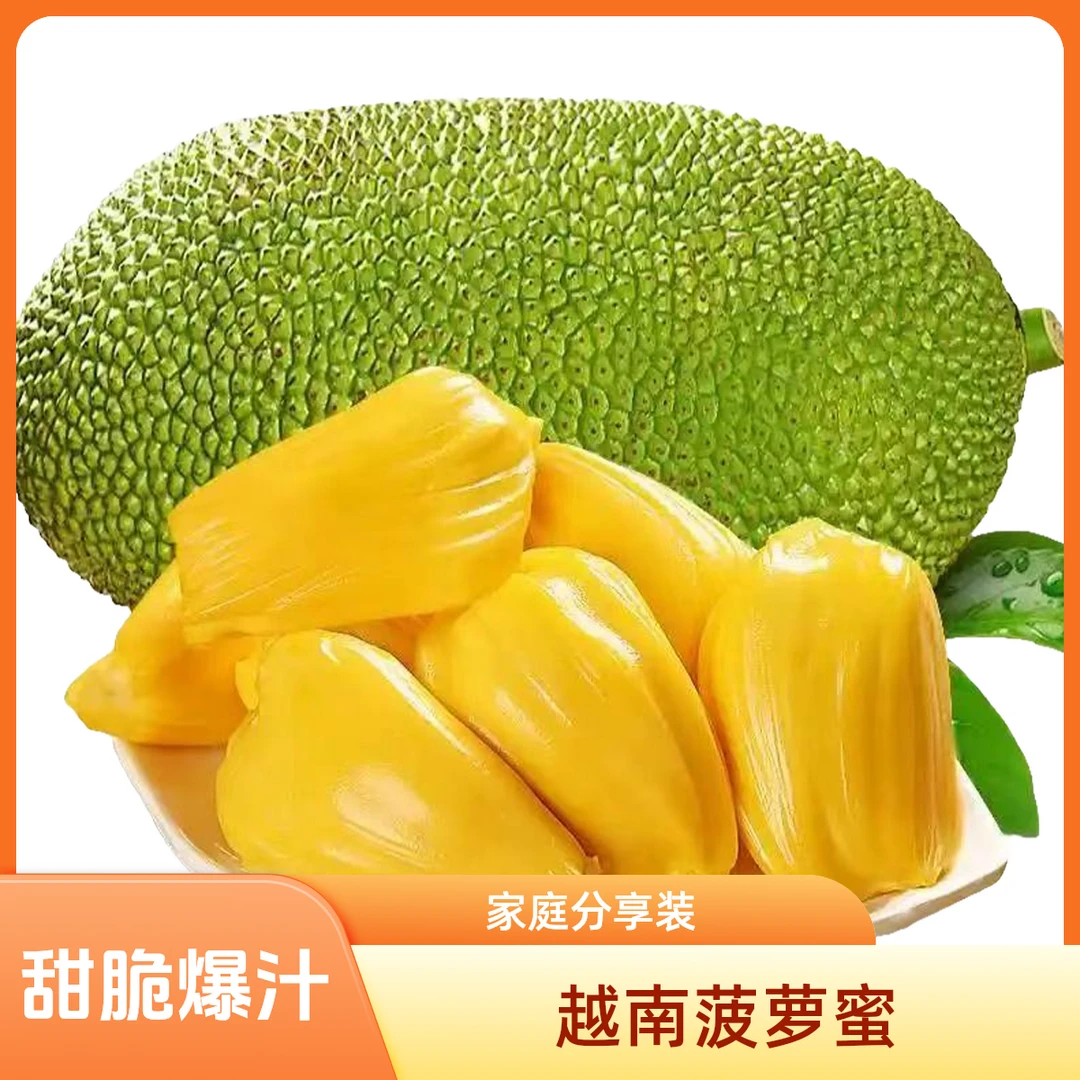 越南老树精选树上熟菠萝蜜甜脆爆整果【顺丰包邮】家庭分享装水果盛宴必备8-20斤越南