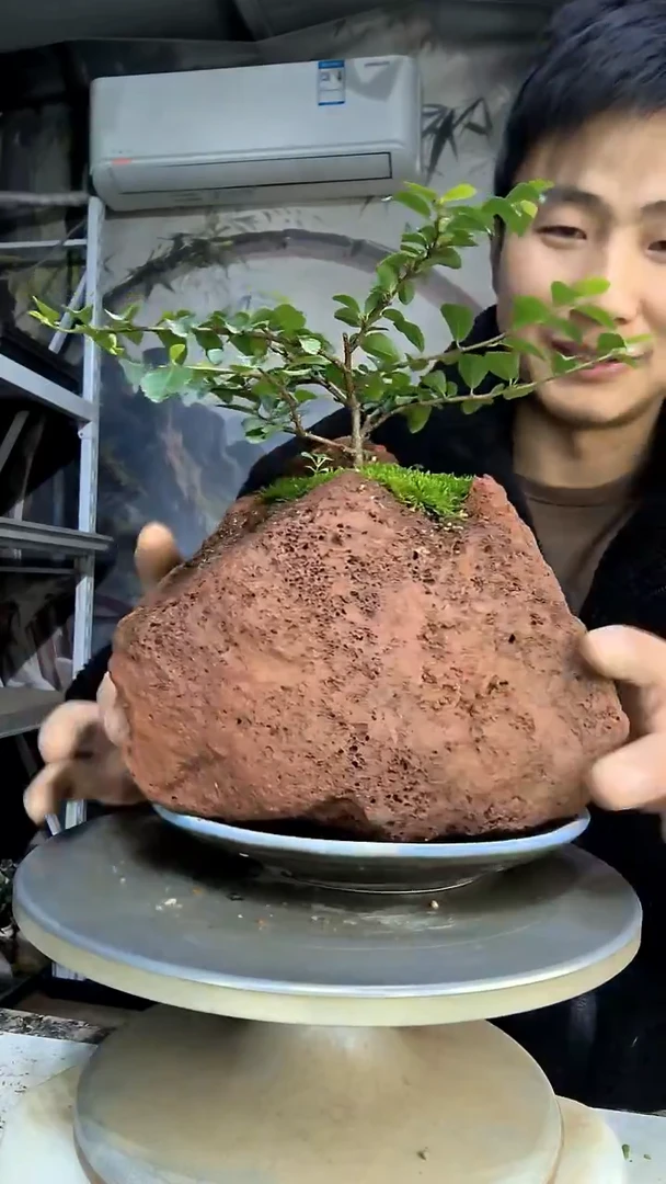 尔*中青园艺一物一拍花179