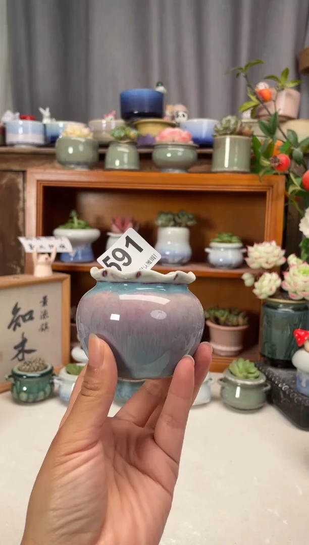 瓷片591知木花盆小芳