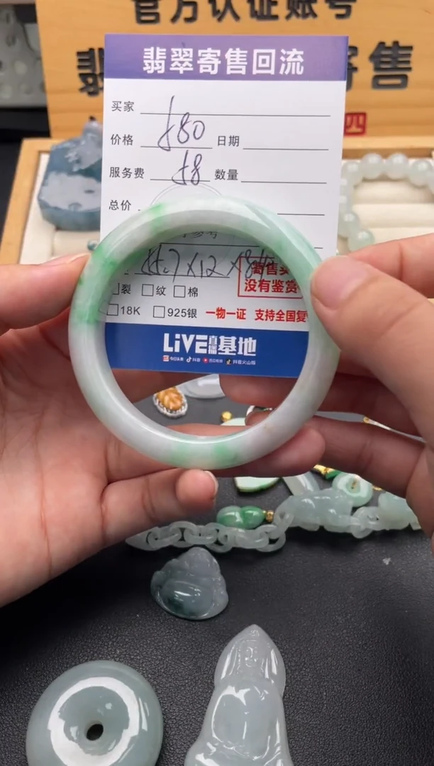 未镶嵌手镯翡翠10146819