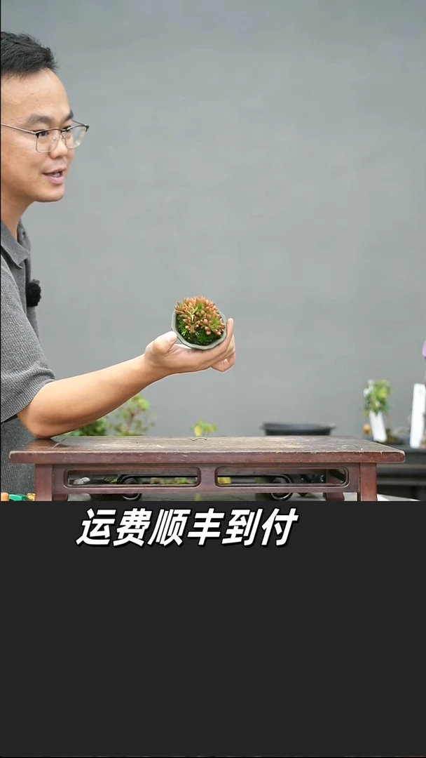 花**草13