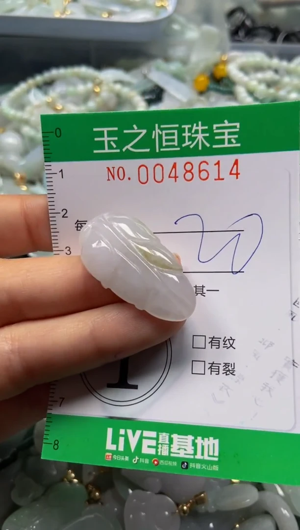 【闪购商品】翡翠颈饰未镶嵌闪购0048614