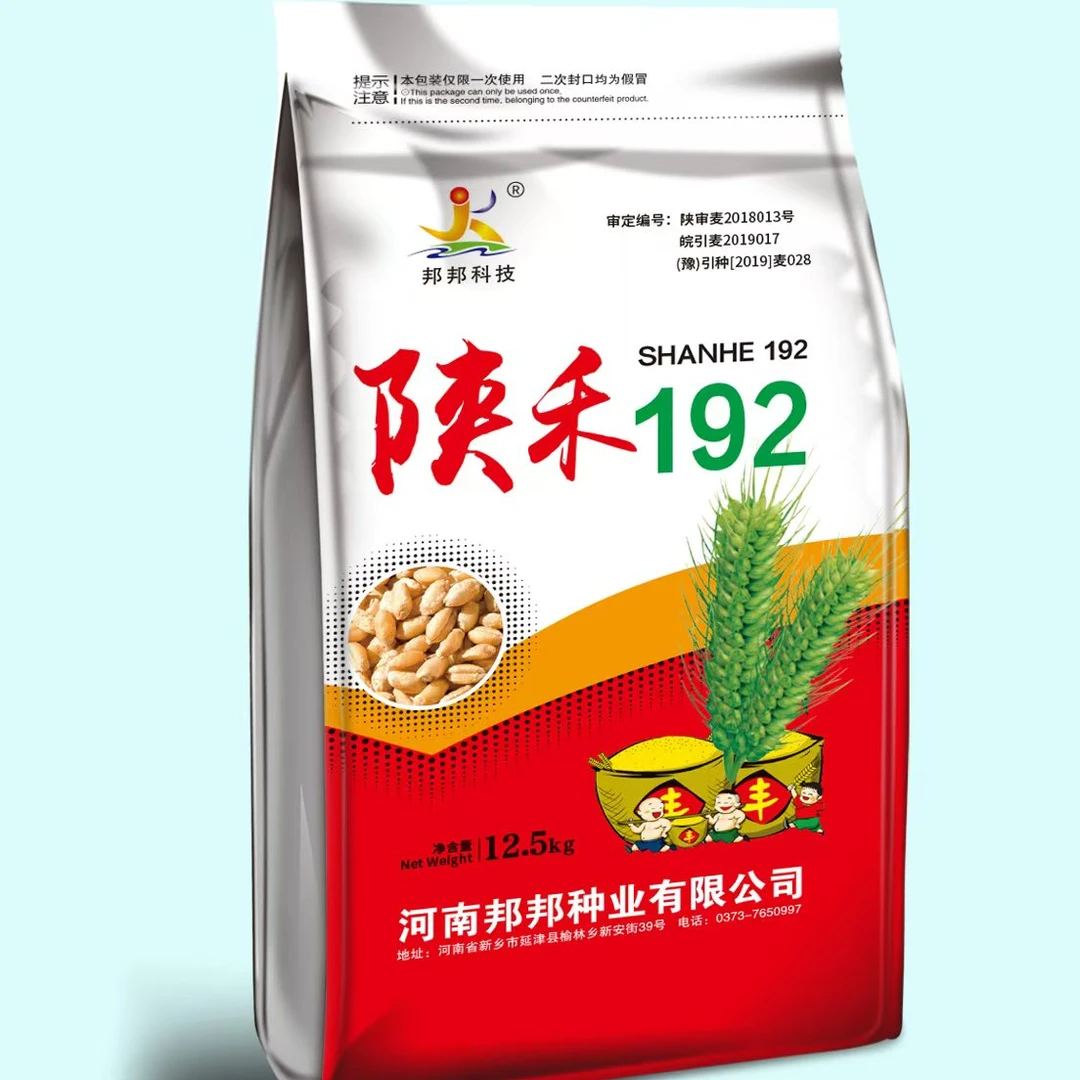 陕禾192（优质、强筋）