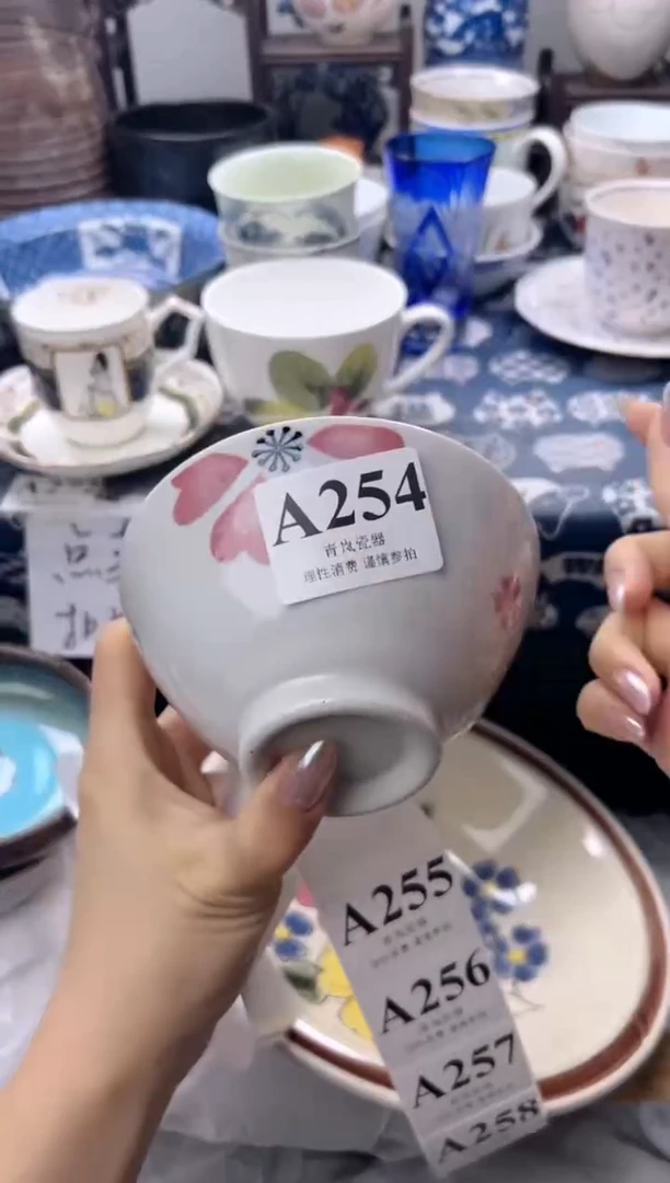 瓷片针*    A254