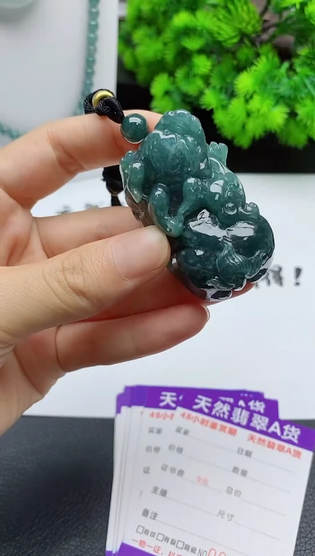 翡翠未镶嵌颈饰