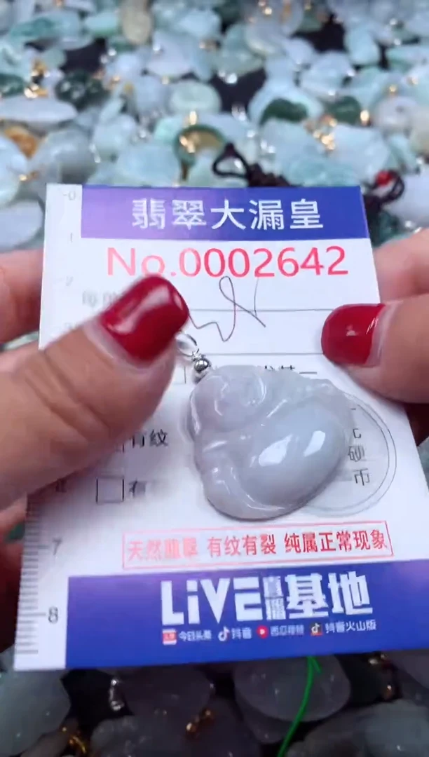 颈饰未镶嵌翡翠2642