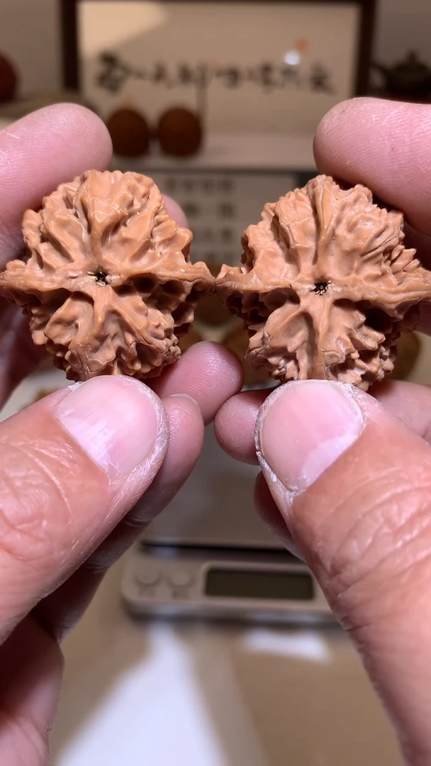 【闪购商品】桃核把件36+苹果园全品