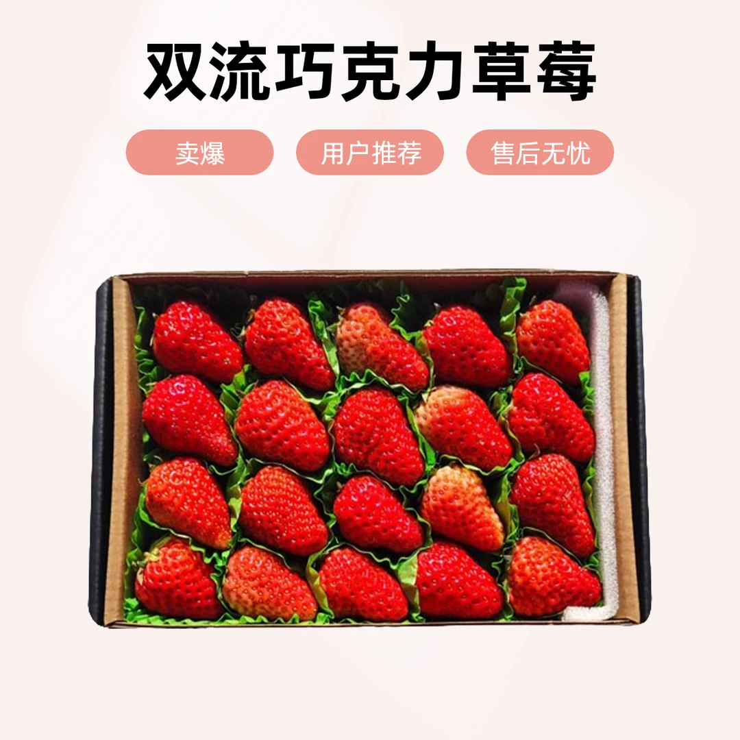 双流巧克力草莓约300g 口感细腻巧克力草莓中国大陆【好东西】