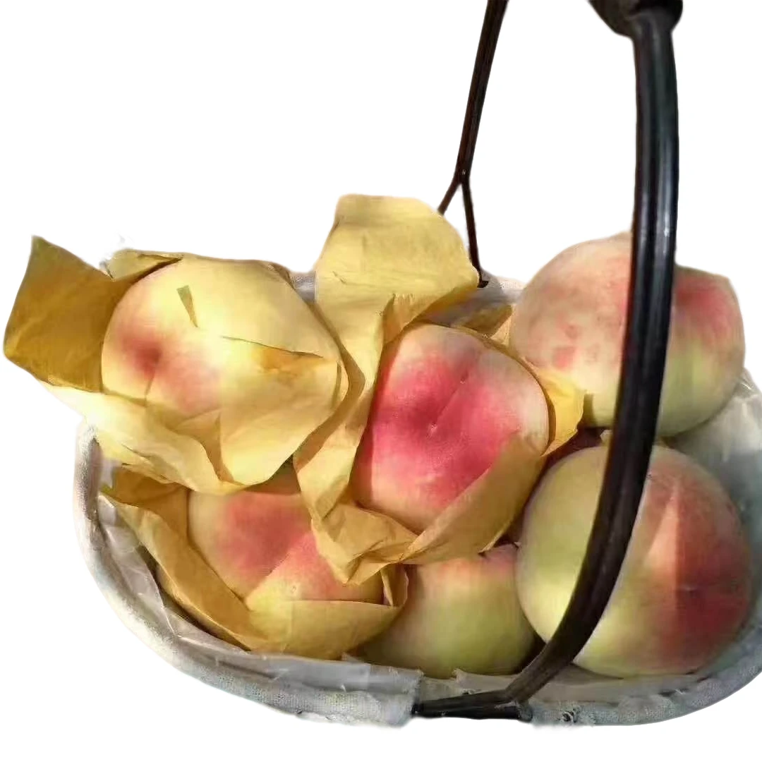 无锡白凤水蜜桃现摘现发软甜爆汁自然熟露天生长应季网红新鲜水果