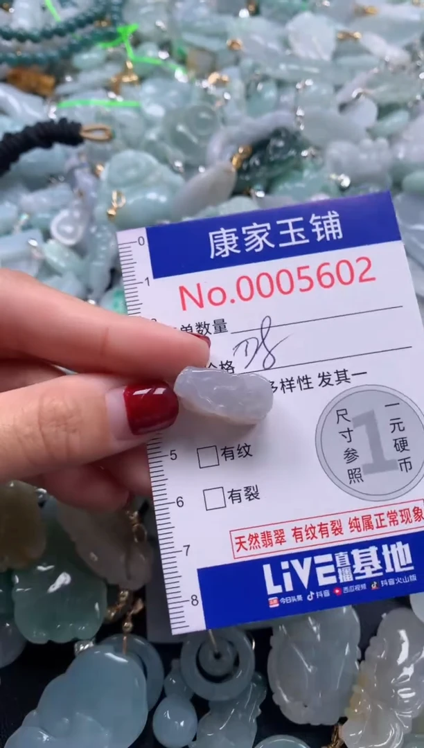 颈饰未镶嵌翡翠5602