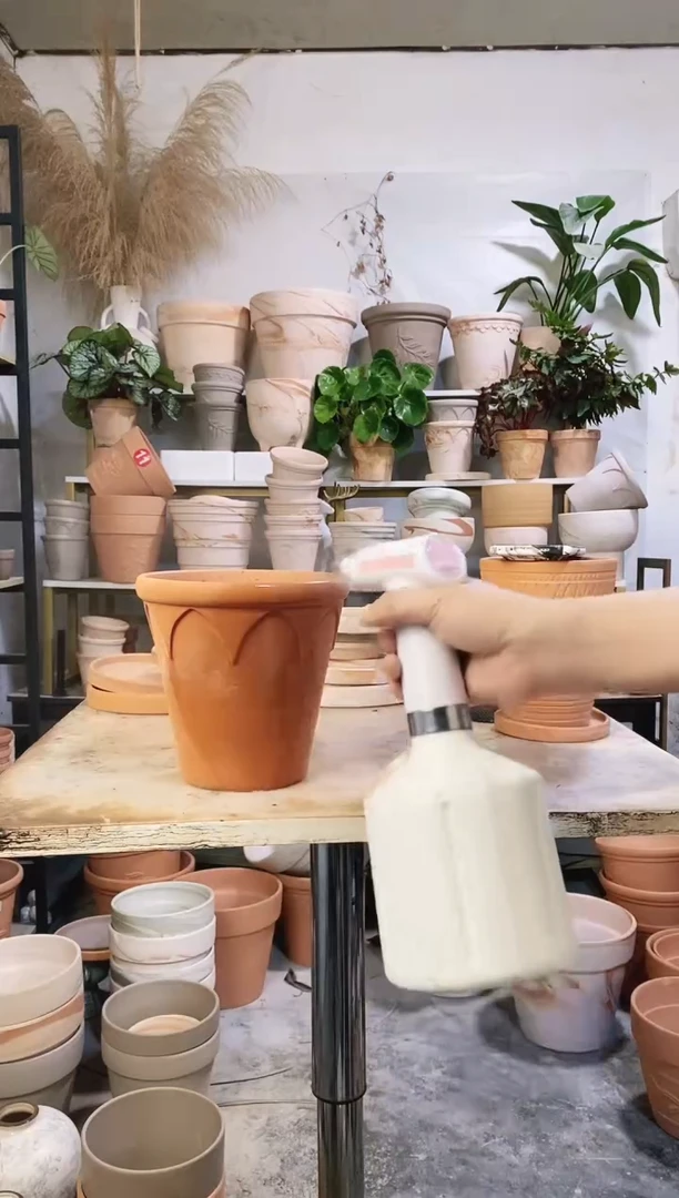 瑕疵无售后18*17红陶皇冠 1盆无托