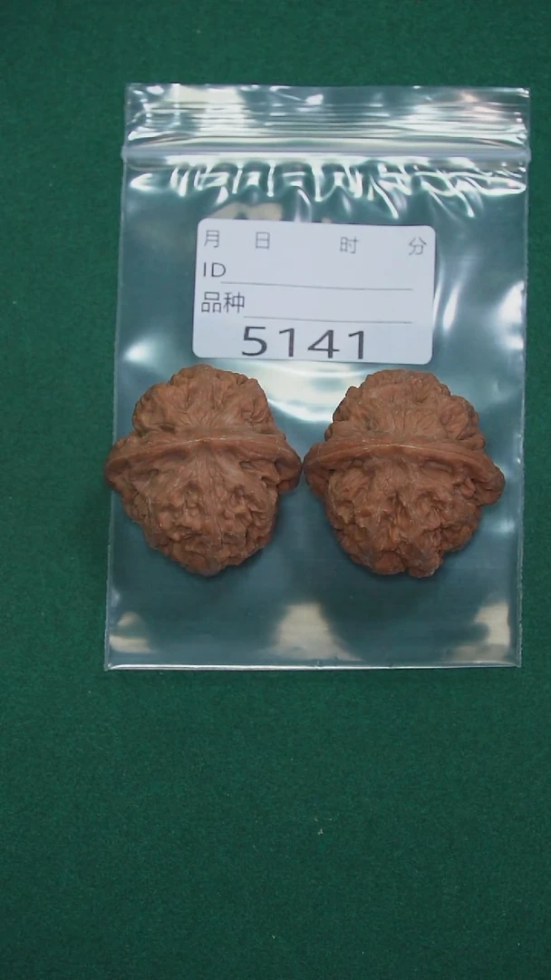 吊坠文玩核桃张****哥40凤凰台