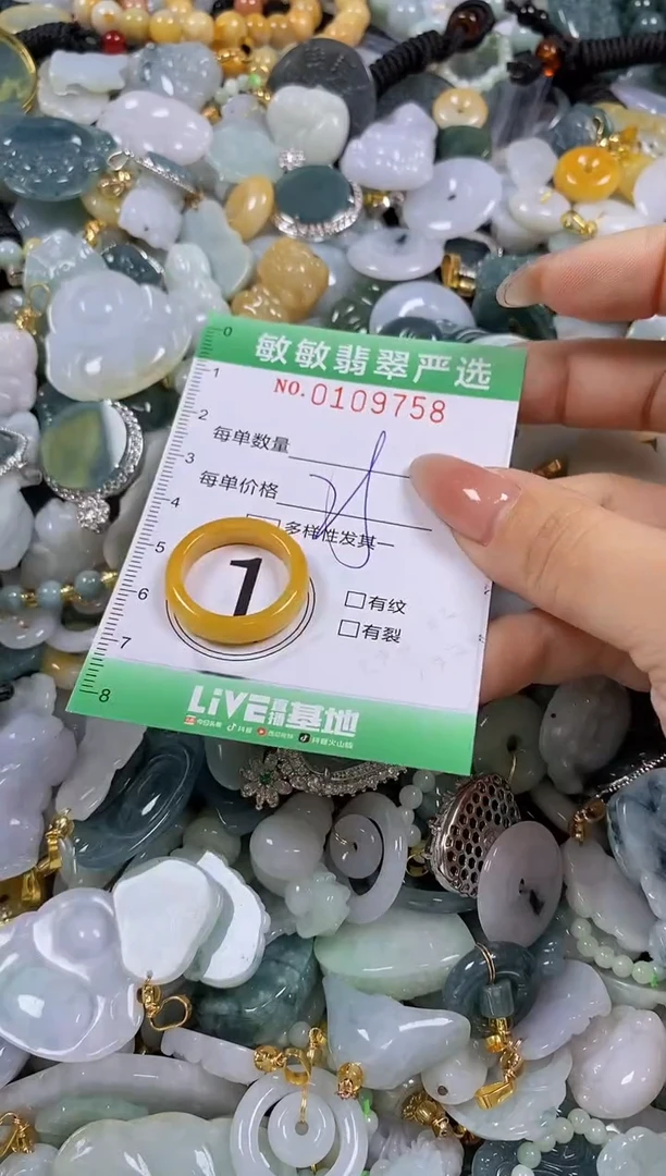 【闪购商品】翡翠颈饰未镶嵌闪购0109758