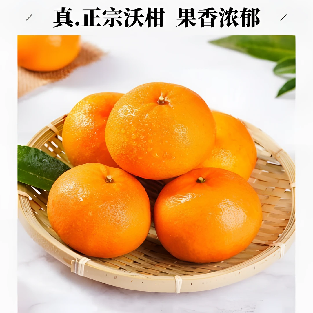 广西正宗武鸣沃柑新鲜采摘精品香甜多汁柑橘产地直发
