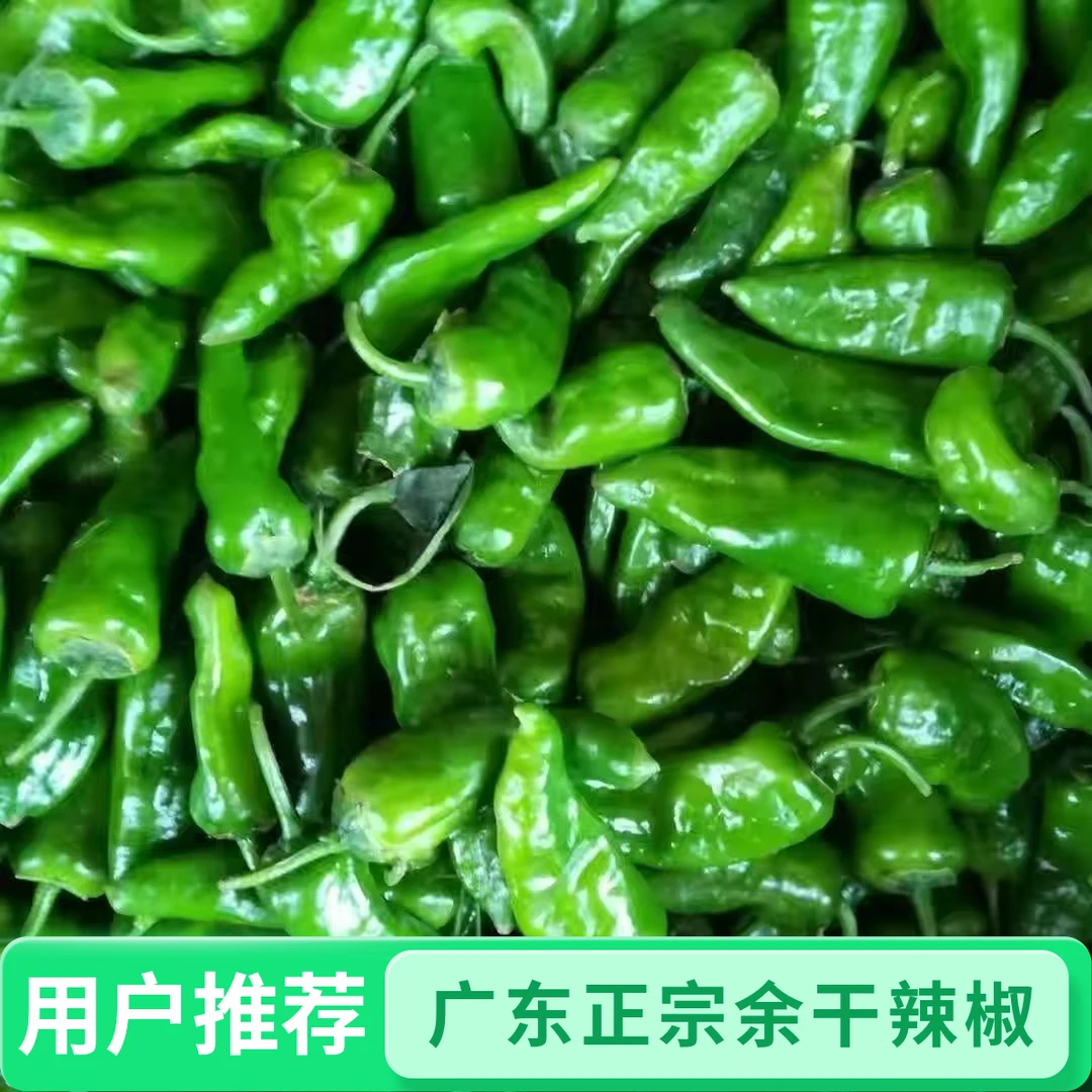 广东农家露天种植余干辣椒小子弹土辣椒现摘现发农家当季蔬菜包邮