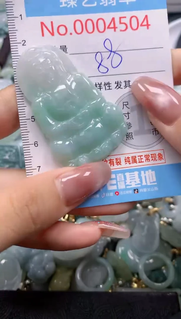 翡翠未镶嵌颈饰含绳0004504