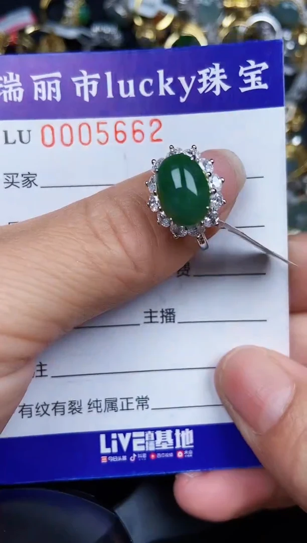 翡翠银S925镶嵌颈饰5662