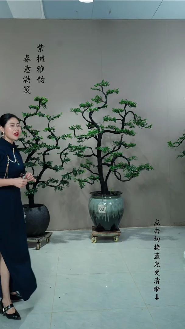 无花朵峰02号链接