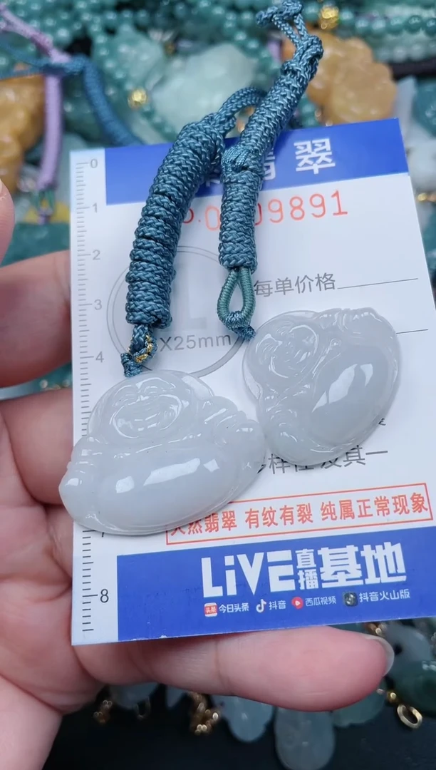 翡翠未镶嵌颈饰.0009891