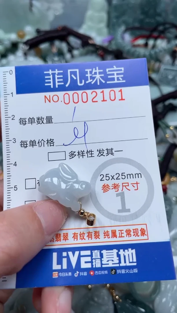 【闪购商品】翡翠颈饰未镶嵌00..2101