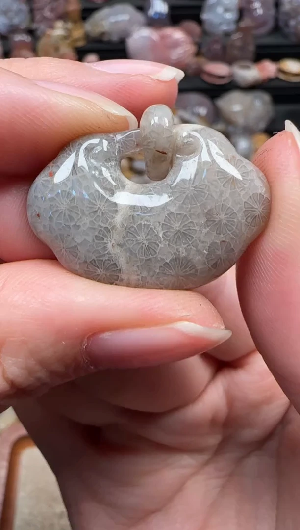 颈饰未镶嵌硅化珊瑚（珊瑚玉）838