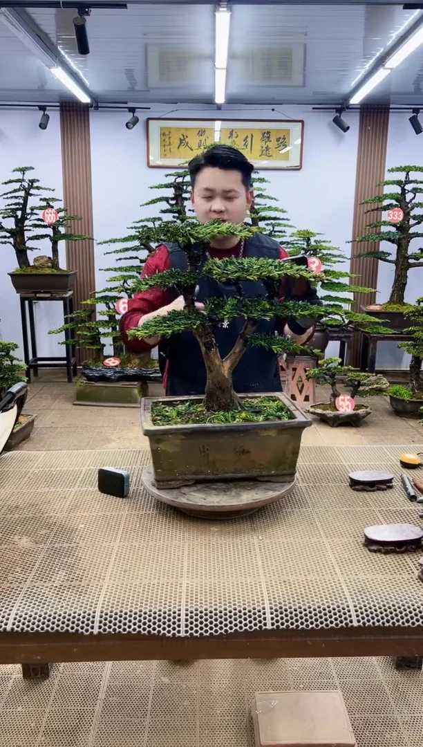 【闪购商品】0000000000