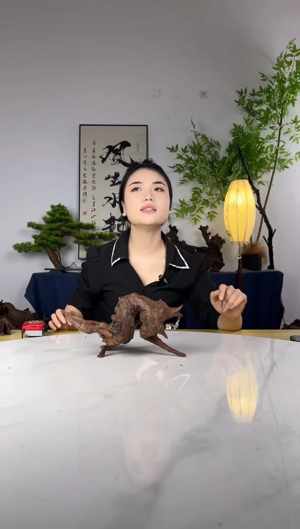 折****?拍这个定向编号59