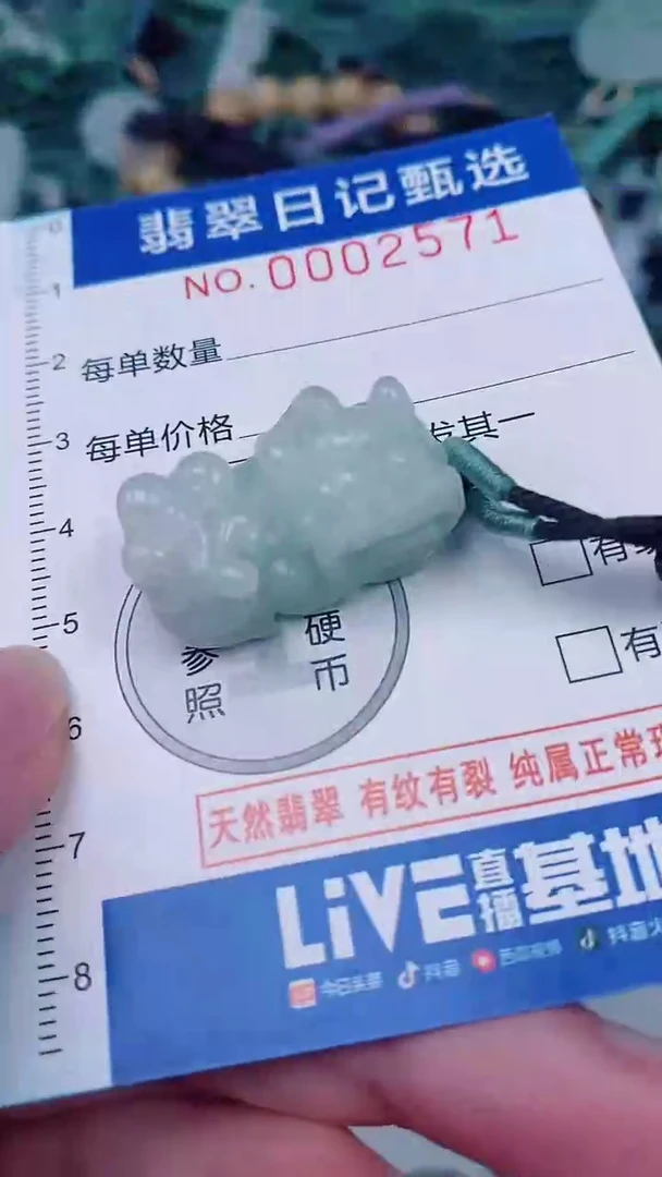翡翠未镶嵌颈饰00002571