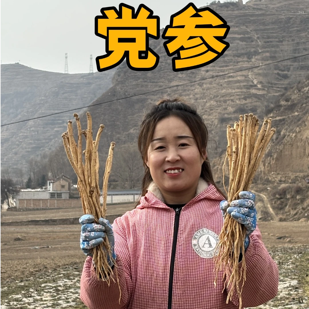 【党参原条】岷县党参原条  原产地精选无硫