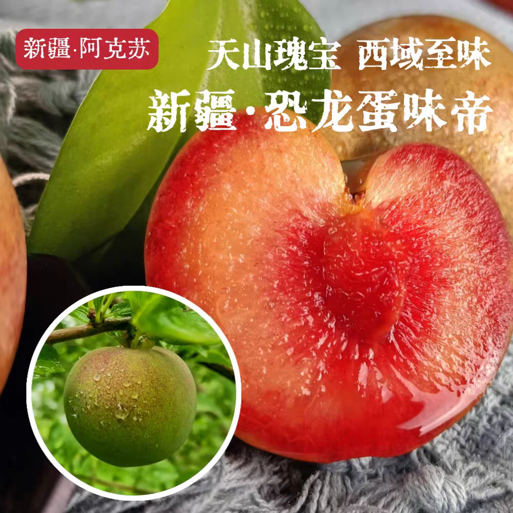 【京东次日达】新疆味帝李 两斤装李子同城送天津市