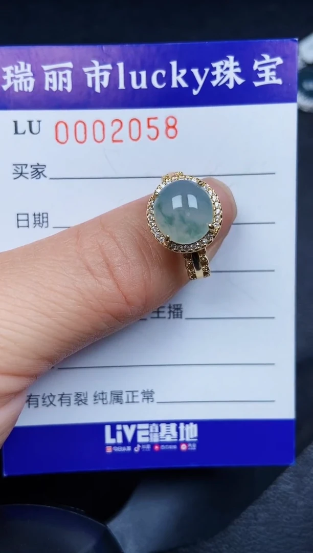 翡翠银S925镶嵌颈饰2058
