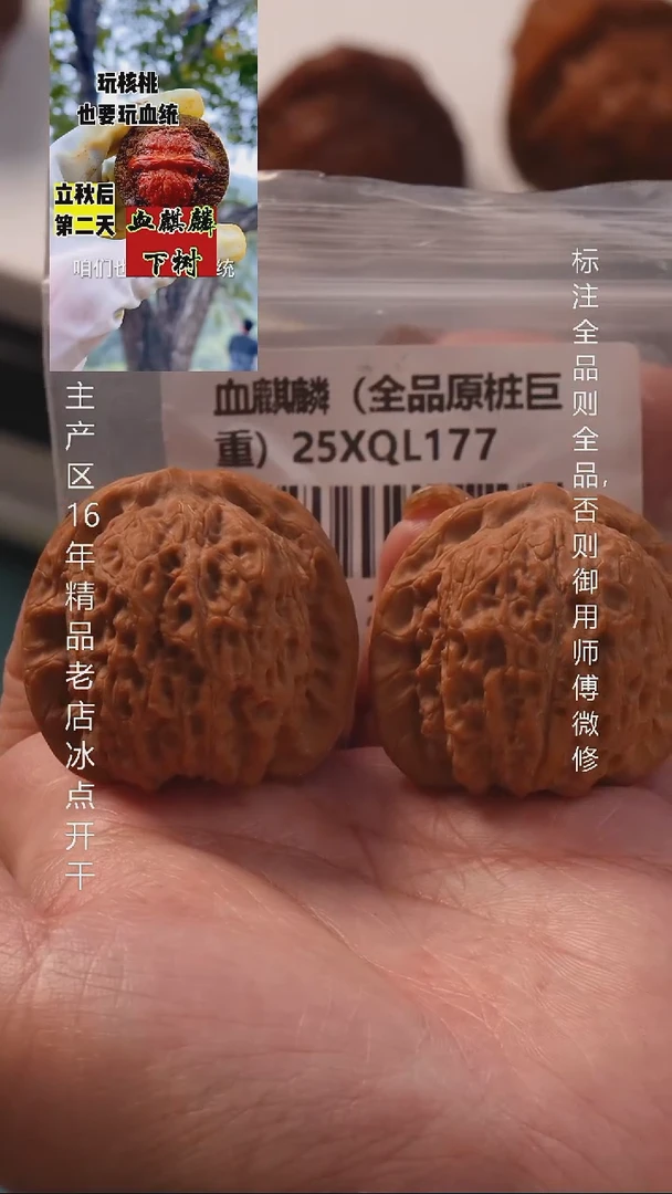 把件桃核40血麒麟全品8号