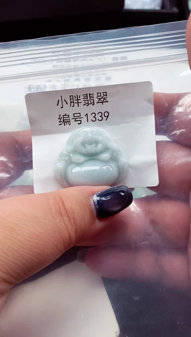 颈饰未镶嵌翡翠缅甸天然A货翡翠1339