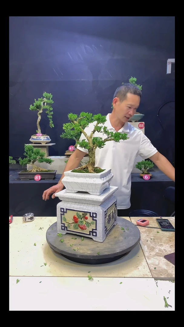 完全开放蝶**海111111