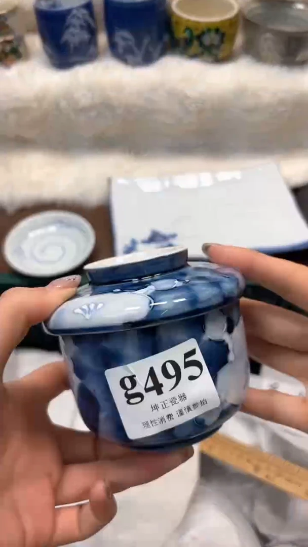 【闪购商品】瓷片          g495