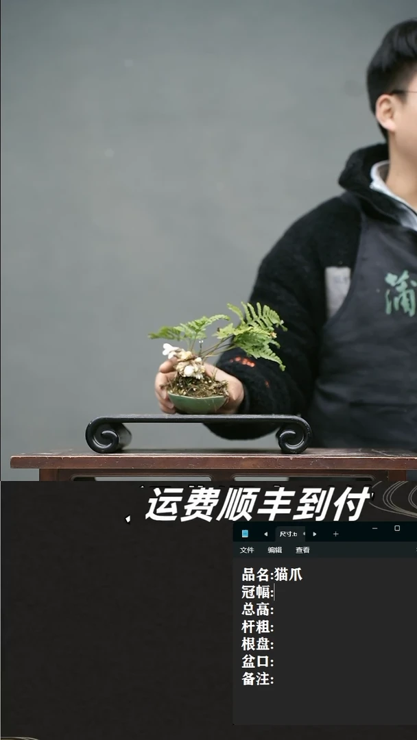 【闪购商品】11 猫爪