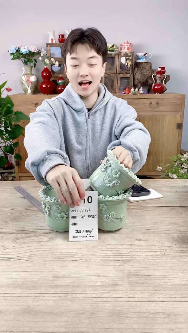 晴好园艺直播编号510