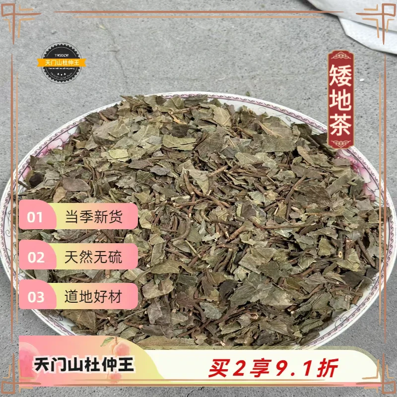 【天门山杜仲王】矮地茶 湖南道地直采 天然无硫
