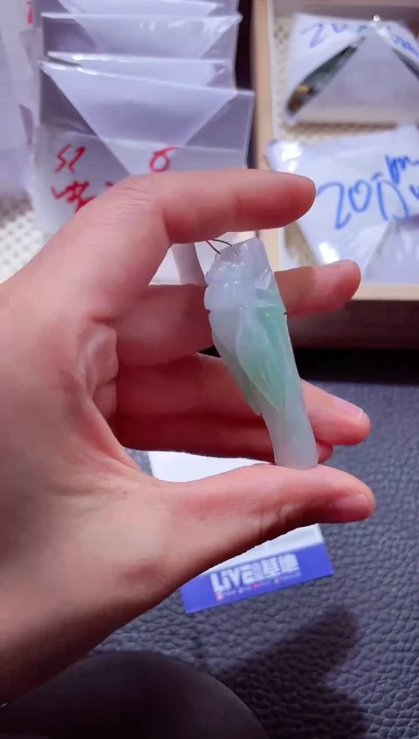 颈饰未镶嵌翡翠00006615