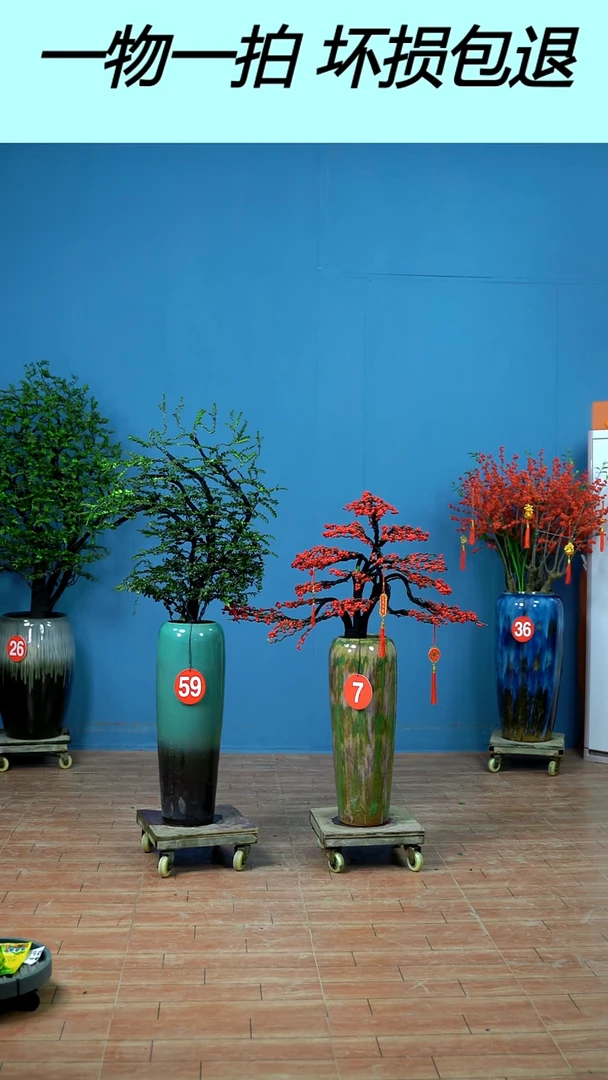 无花朵O****?北美冬青，广东小叶紫檀