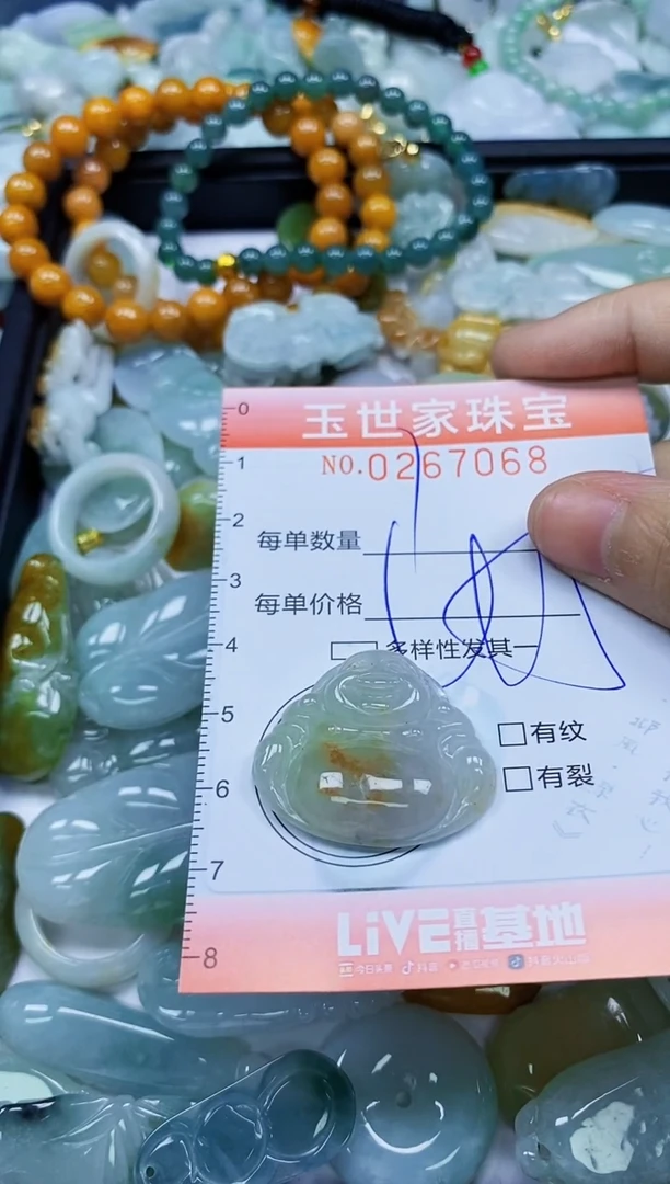 翡翠未镶嵌颈饰闪购0267068