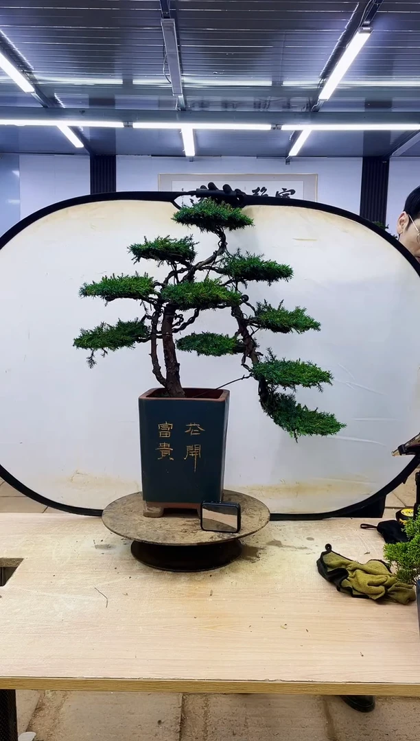 无花朵表*000000000000