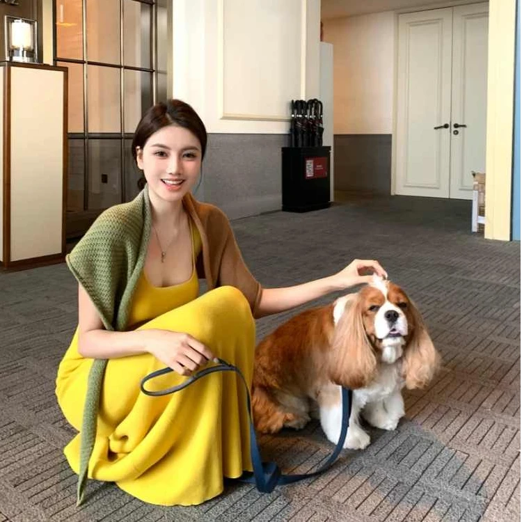 Z22260高级感高腰修身吊带连衣裙女夏季设计感拼色针织披肩套装