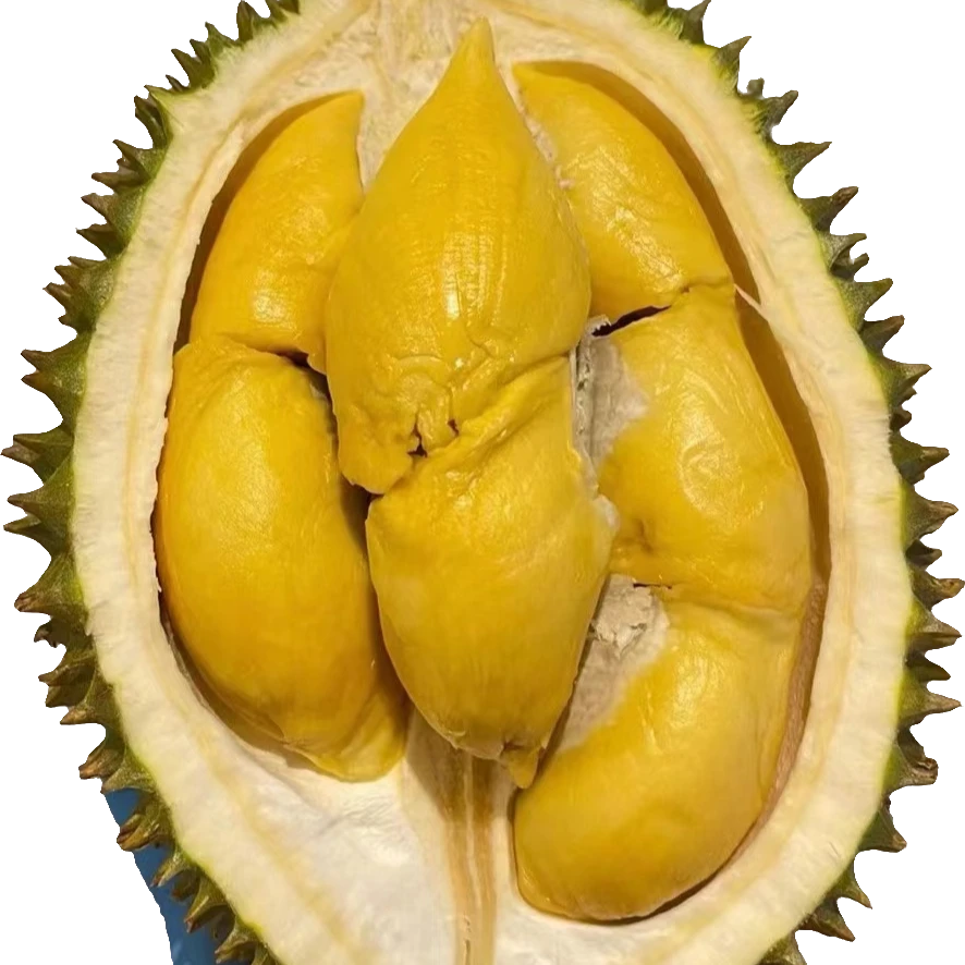 【论个卖】空运钻石球 鲜榴莲 核大 1-2斤一个【榴莲小时达】托曼尼泰国