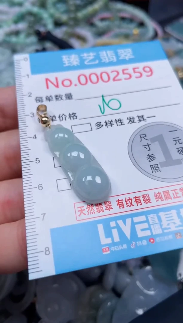 颈饰未镶嵌翡翠2559