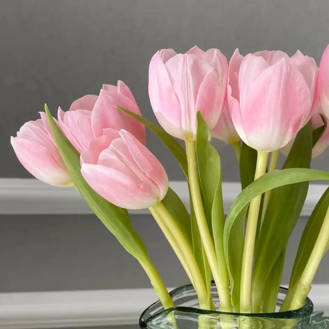 门店小时达-花边新闻-家养花-郁金香王朝粉