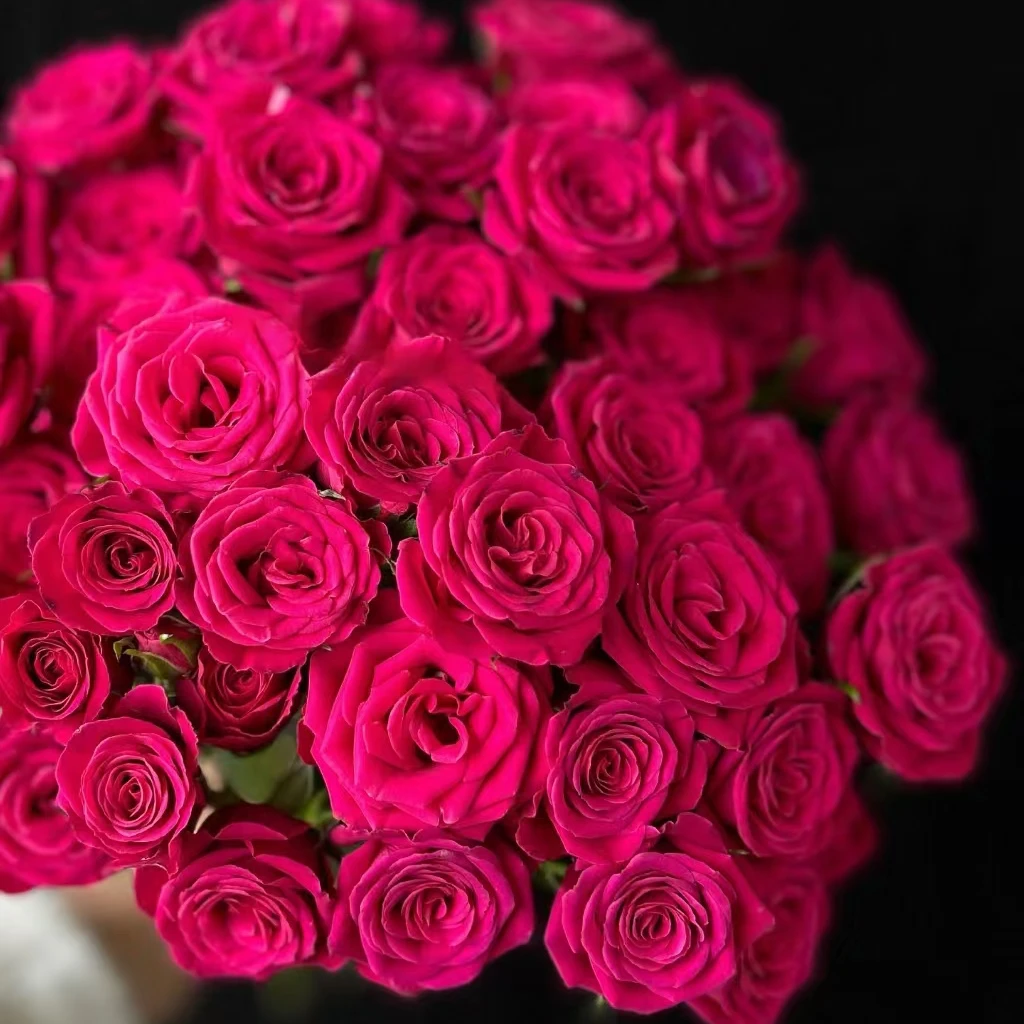 【粉色溜溜球】多头玫瑰（全场同一地址两单顺丰冷链包邮噢~）