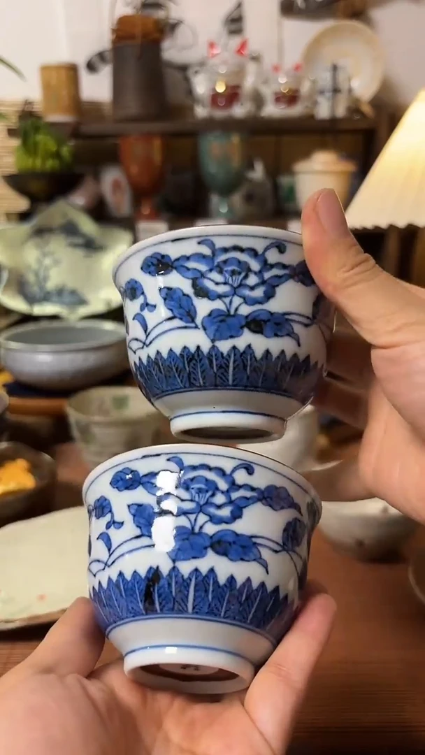 瓷片喵喵家都是大漂亮