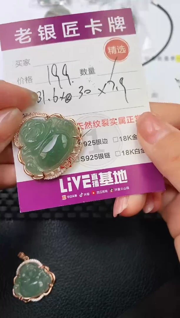 翡翠银S925镶嵌颈饰·